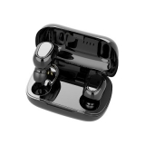 DW-T21